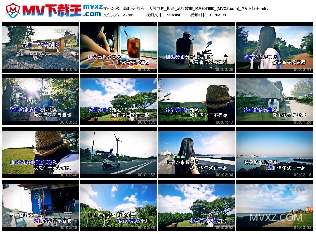 高胜美-总有一天等到你_国语_流行歌曲_MA207890